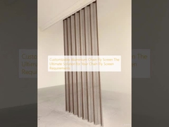 Zanzariera a Catena in Alluminio Personalizzabile: La Soluzione Definitiva per le Tue Esigenze di Zanzariera a Catena