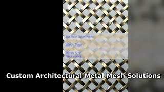 Rete metallica architettonica personalizzata per il design moderno della facciata
