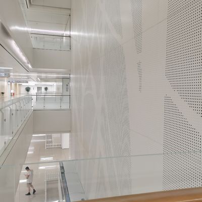 Griglia di tessuto architettonico di alta qualità per perforazione per pareti