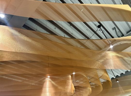 Maglia di filo tessuto decorativo ad alta flessibilità per soffitti architettonici